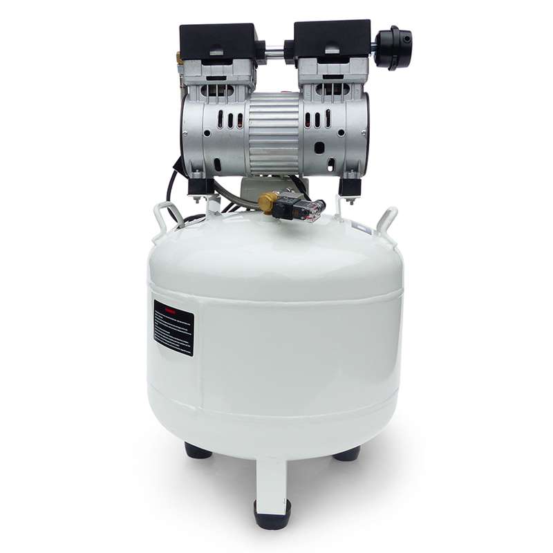 10 Stück Öl-Luftkompressor Ventilplatten - Leise Pumpenköpfe Für Riemenkolbenmaschinen